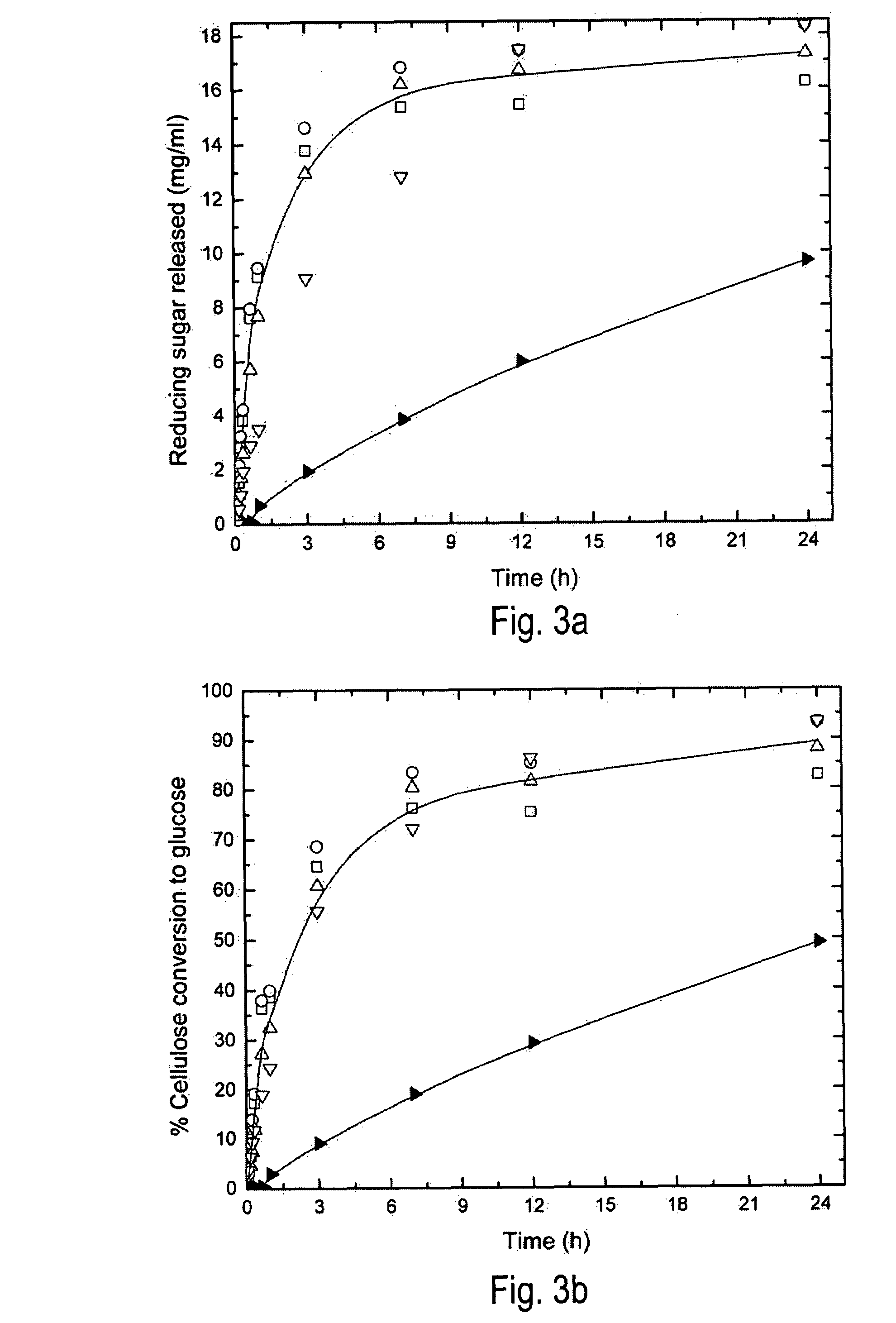 Saccharifying cellulose