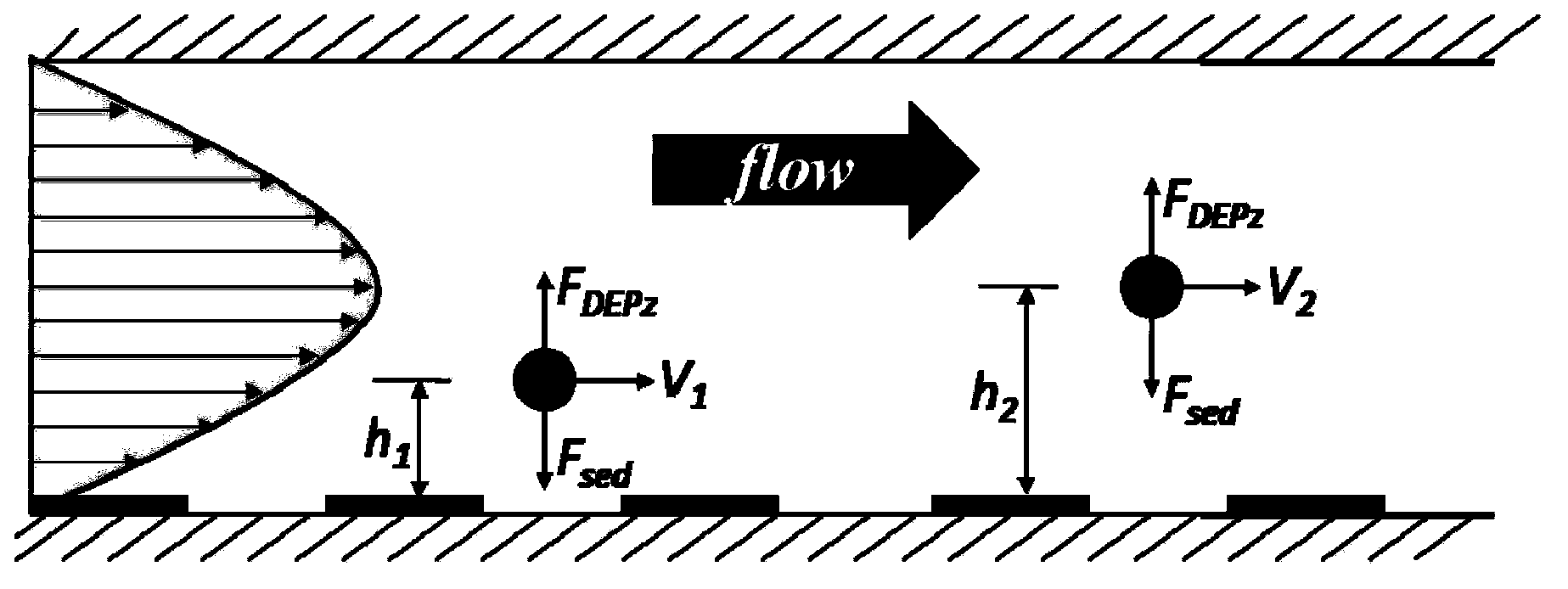 Method for specific continuous separation of micro-scale particles