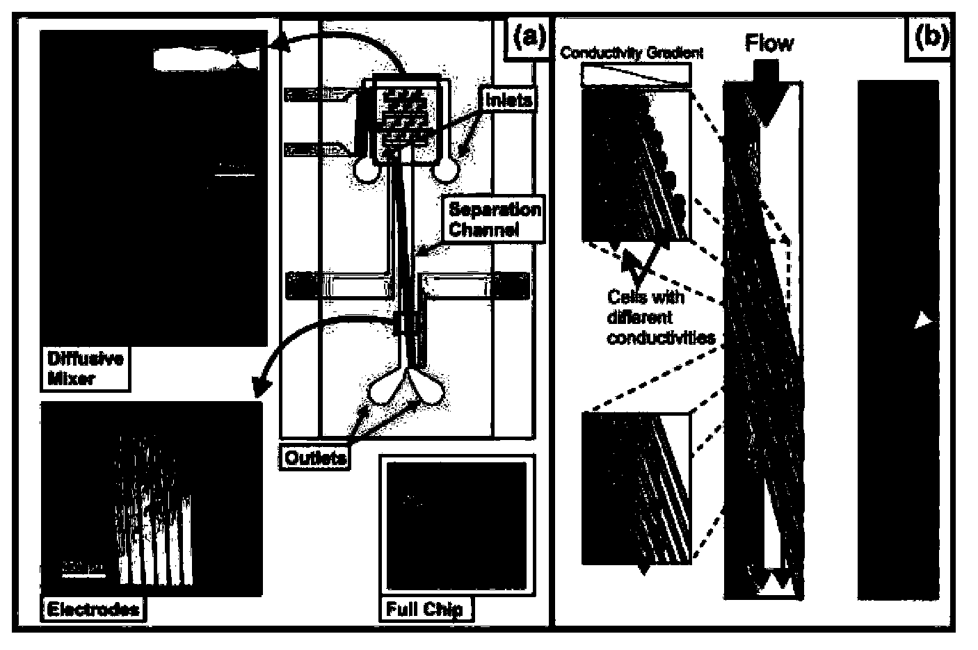 Method for specific continuous separation of micro-scale particles