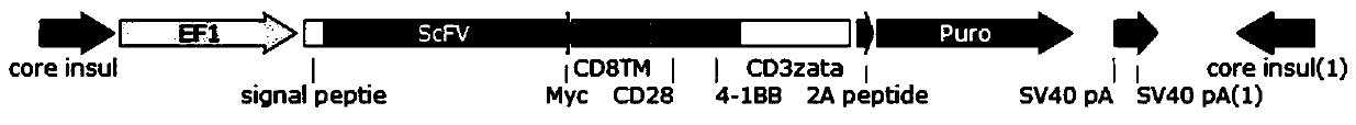 Preparation method and application of CAR-T cell based on base editing target CD133