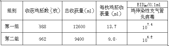 Chicken infectious bronchitis virus diluent and preparation method thereof