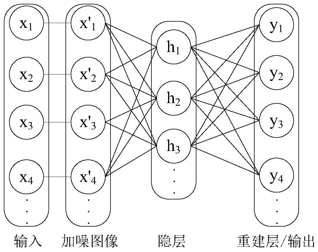 Face recognition method based on stacked convolution sparse denoising auto-encoder