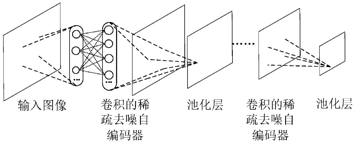 Face recognition method based on stacked convolution sparse denoising auto-encoder