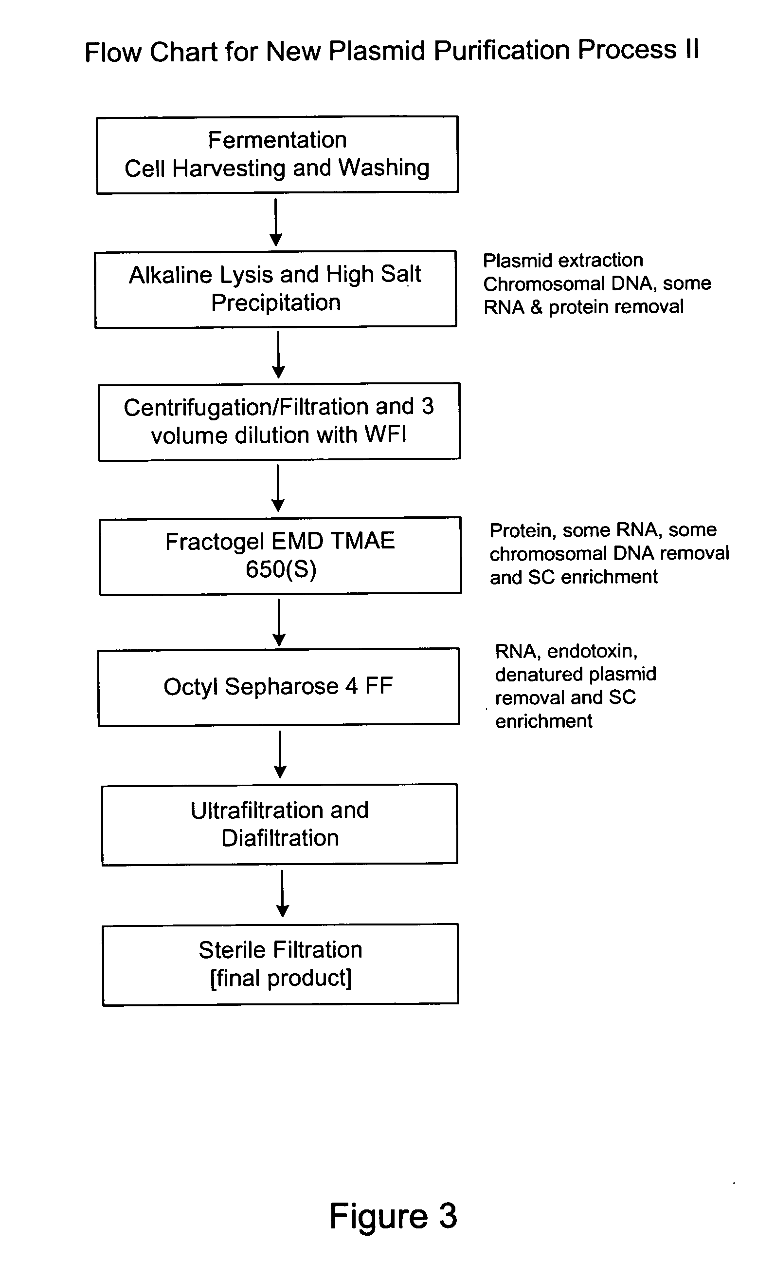 Process and equipment for plasmid purfication