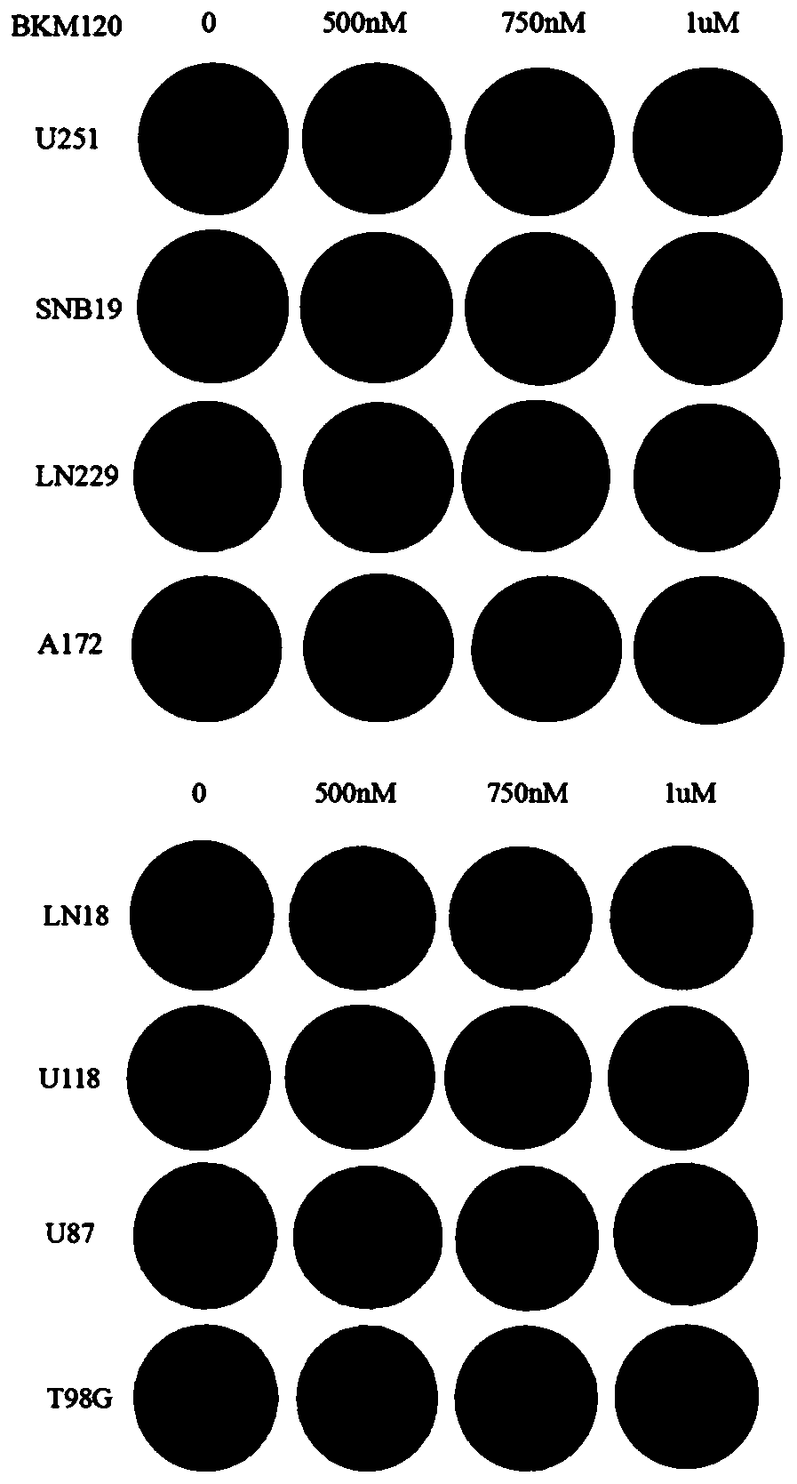 Pharmaceutical application of a pi3k and mth1 targeting drug composition