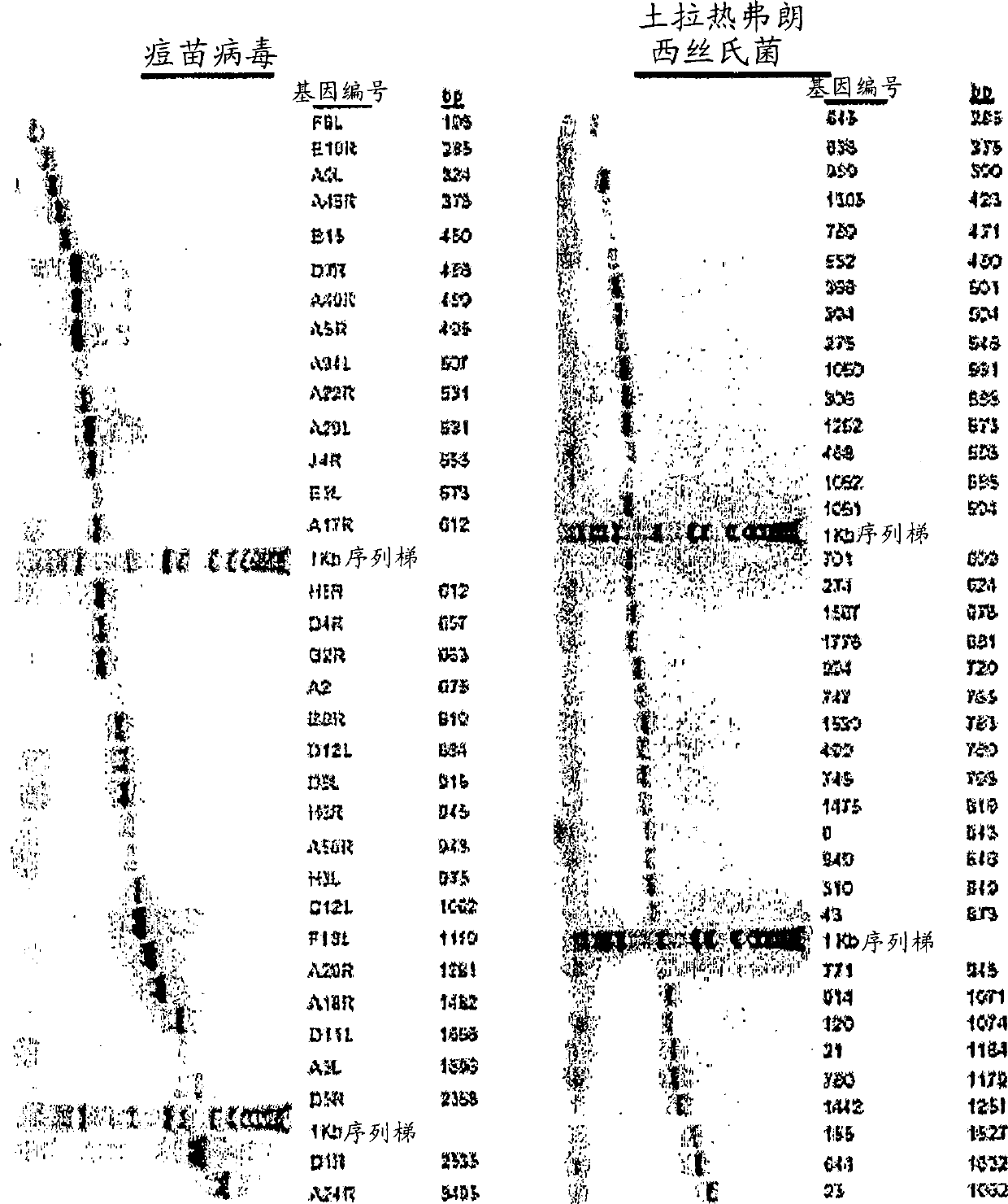 High throughput proteomics