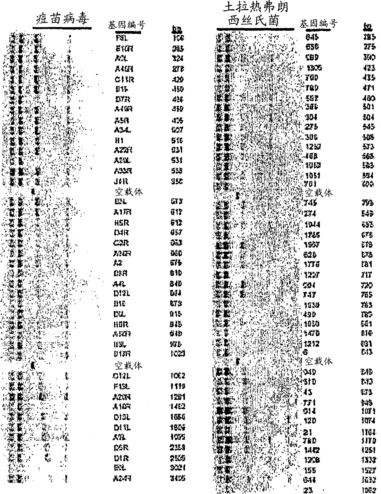 High throughput proteomics