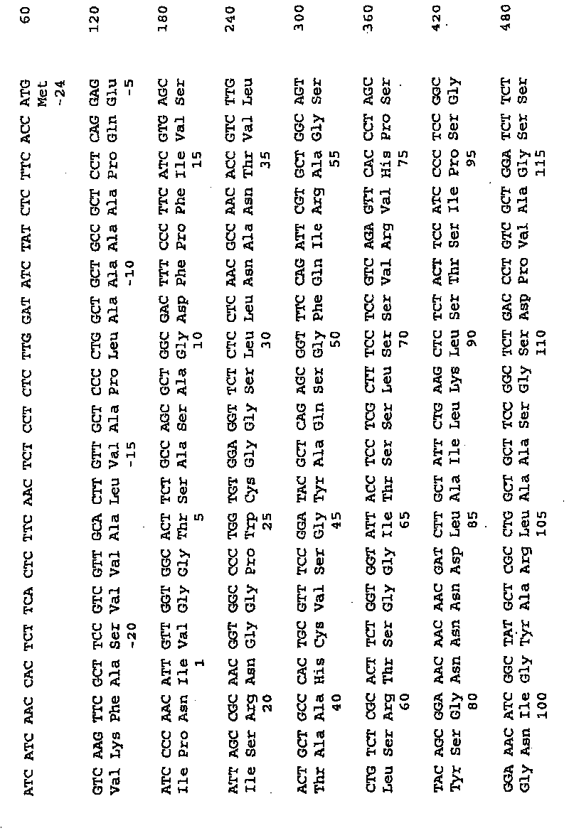 Methods for producing mammalian trypsins