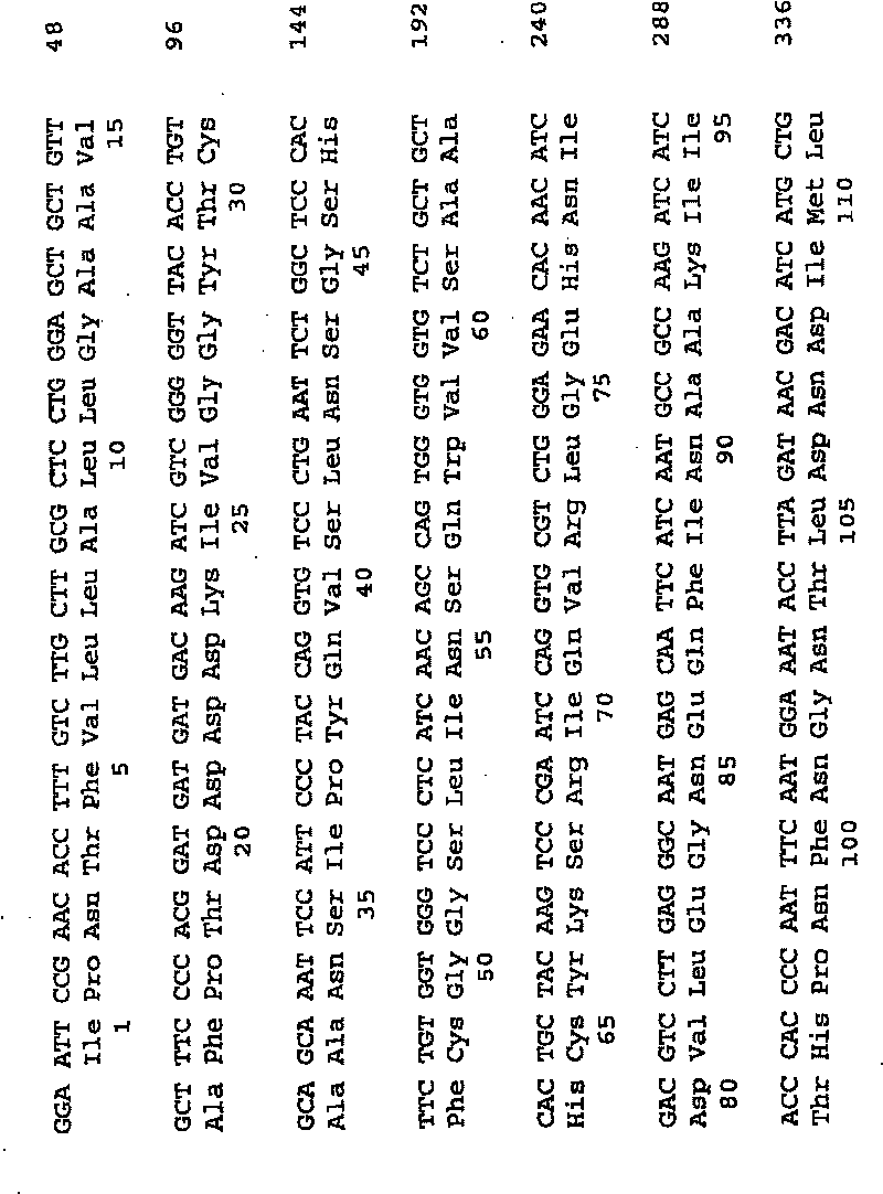 Methods for producing mammalian trypsins