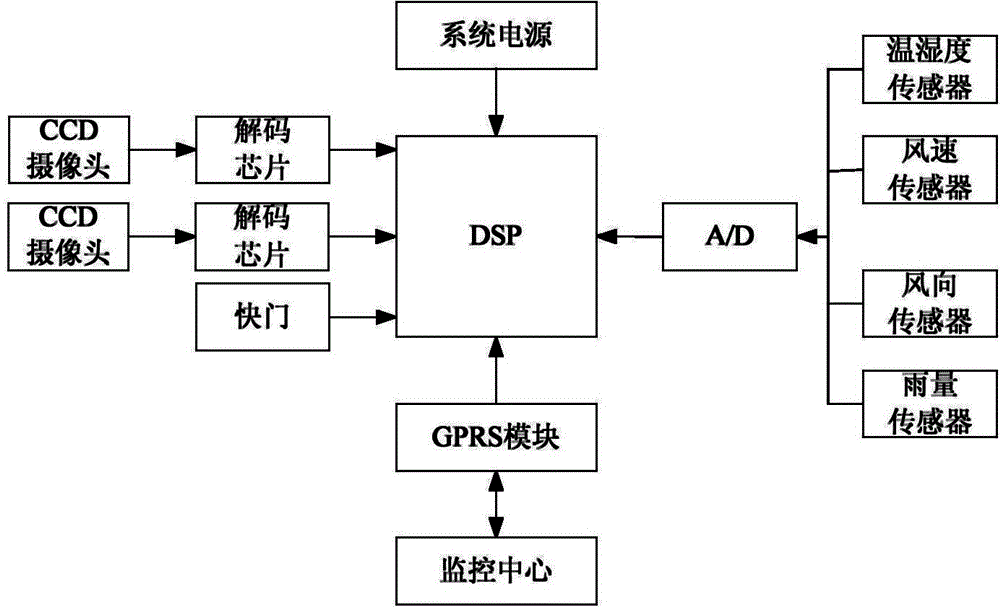 Lead ice monitoring method and system based on three-dimensional reconstruction