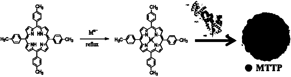 Albumin-loaded metalloporphyrin complex nano particles preparation method and application thereof