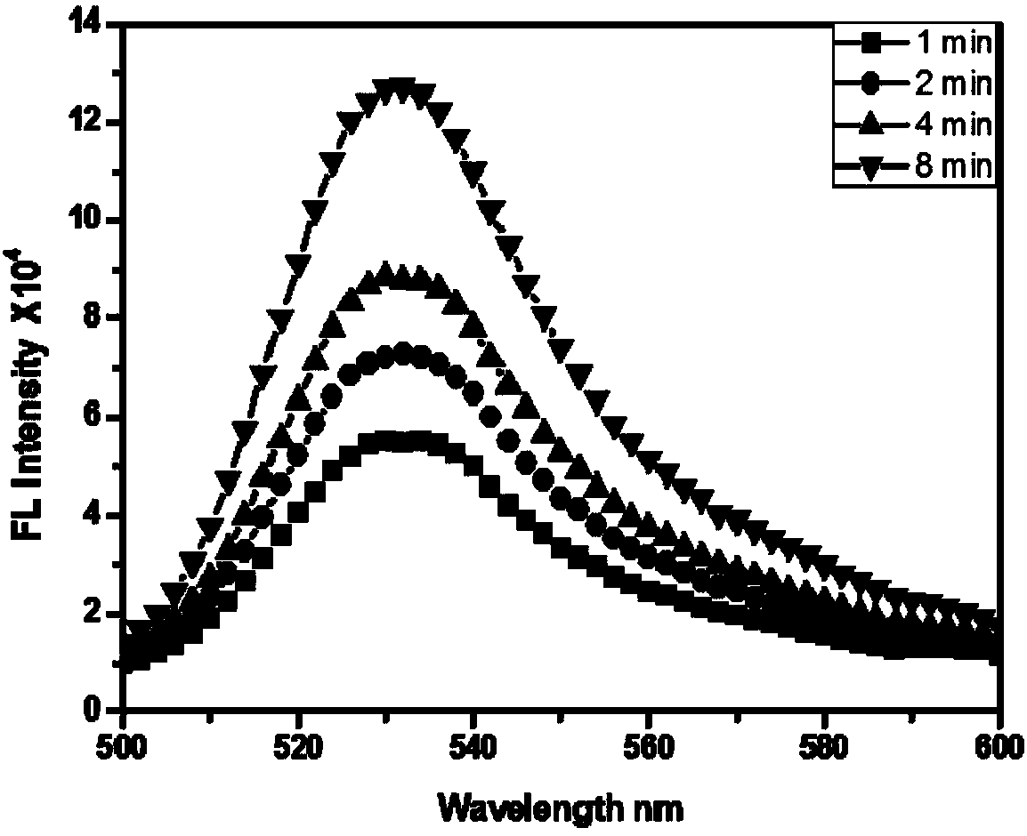 Albumin-loaded metalloporphyrin complex nano particles preparation method and application thereof