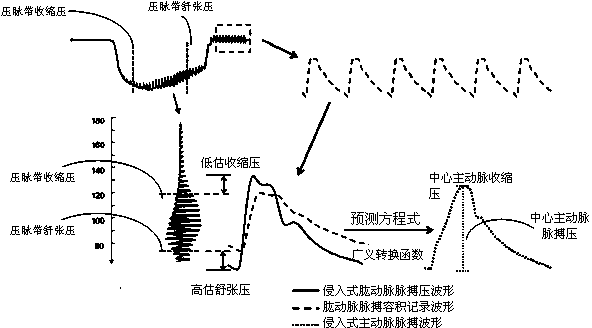 Method and device for estimating pulse pressure of central aorta by using pressure pulse wave vibration signals of tourniquet