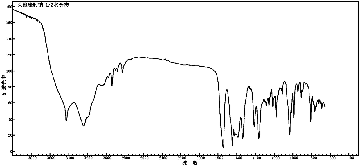 1/2 water ceftizoxime sodium compound