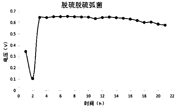 Method for treating chicken farm waste water by desulfovibrio microbial fuel cell