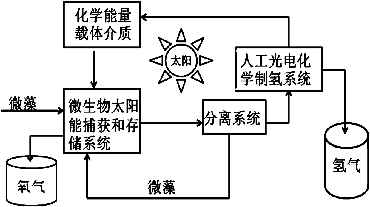 Photosynthesis and (photo-catalysis) electro-catalysis combination system separated type hydrogen production method through water splitting