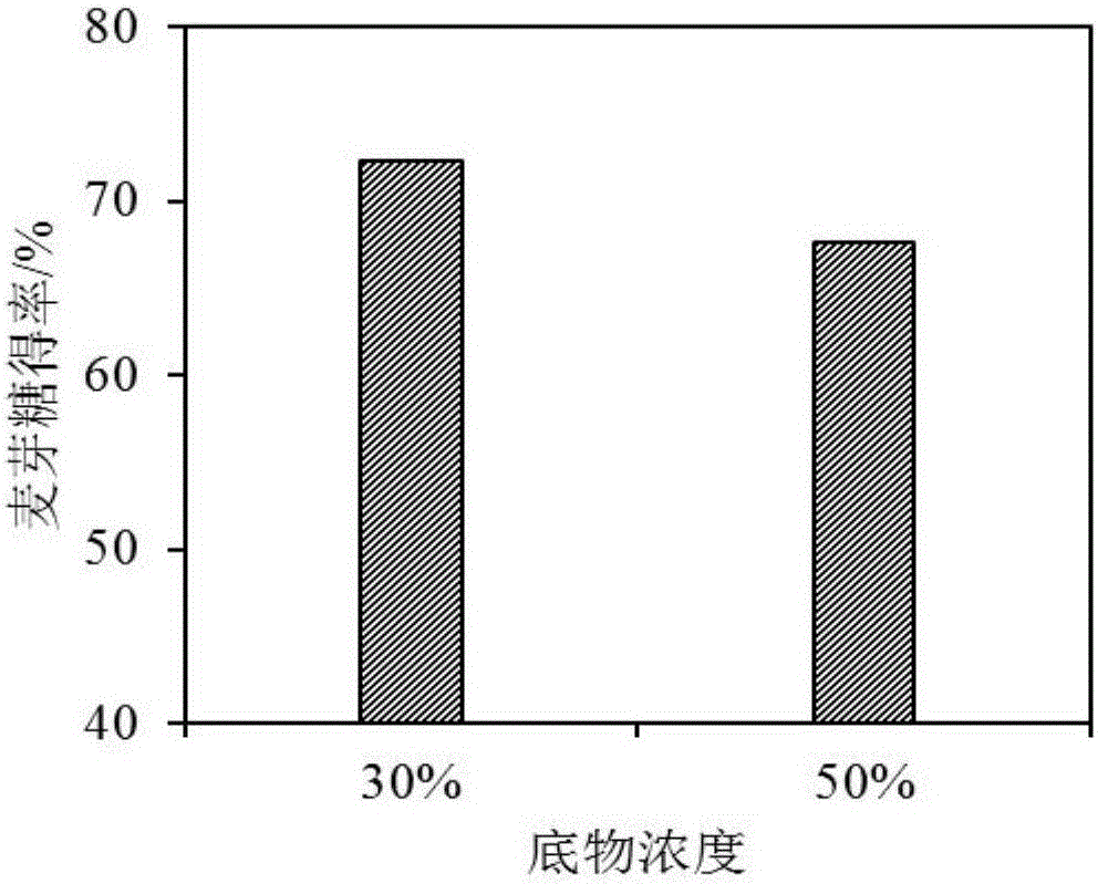 Method for improving maltose yield in malt syrup production adopting starch saccharification at high concentration