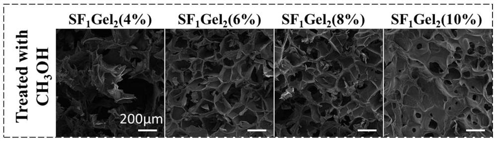 Mechanically enhanced gelatin chilled hydrogel as well as preparation method and application thereof