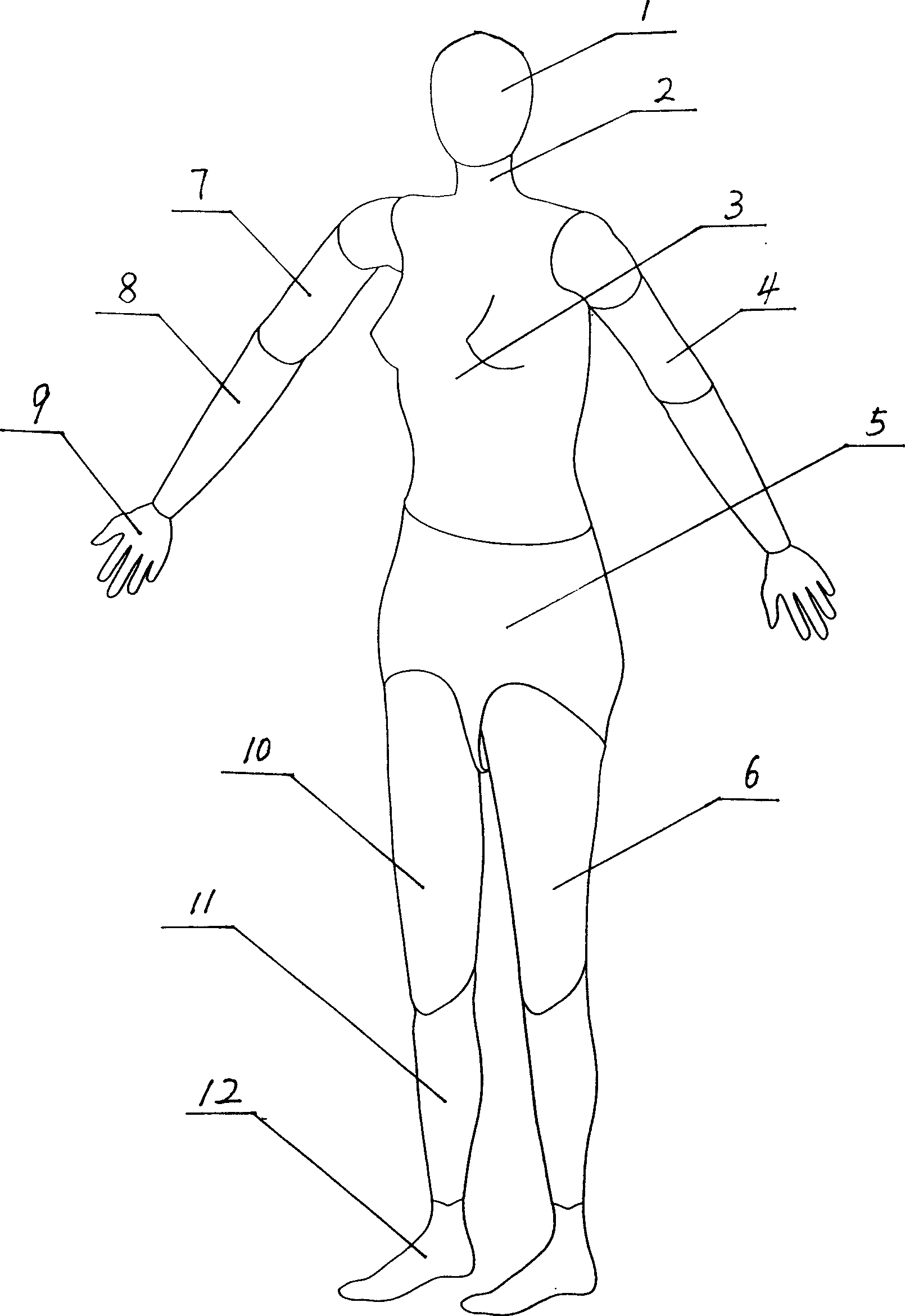 Movable human model