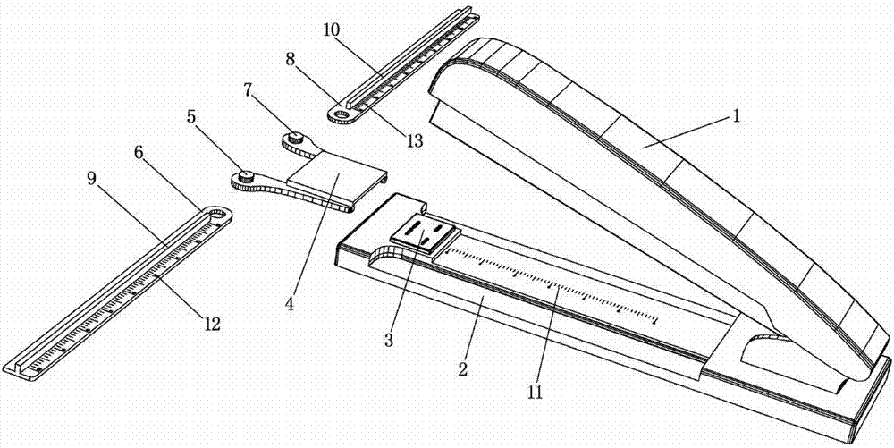 Stapler with bookbinding scale