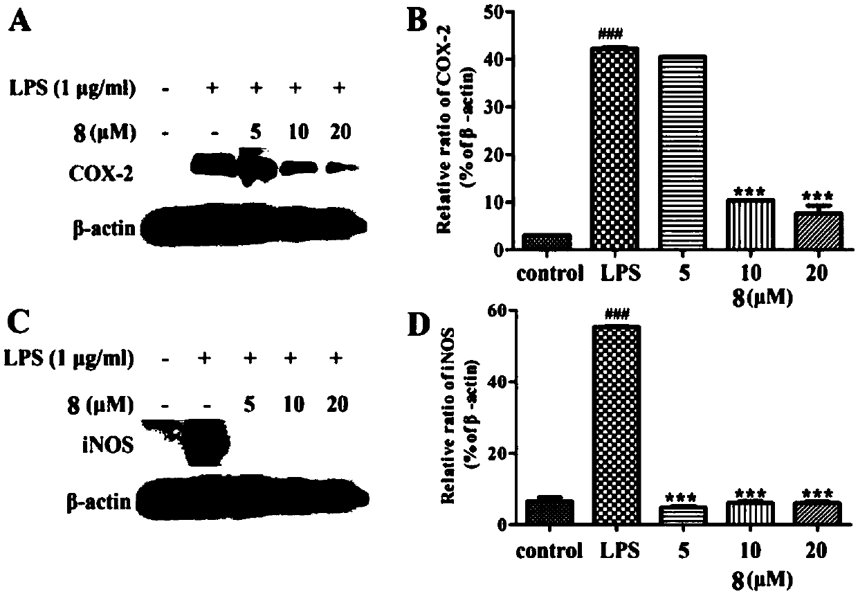 Andrographolide compounds and preparation method and application thereof