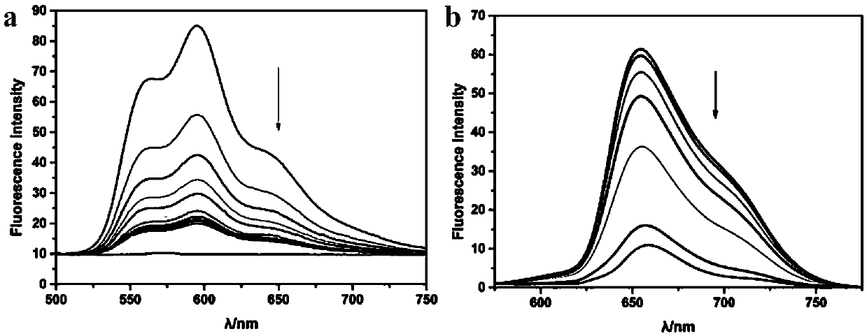 Targeted anti-tumor drug system for drug-resistant tumor cells and construction method thereof