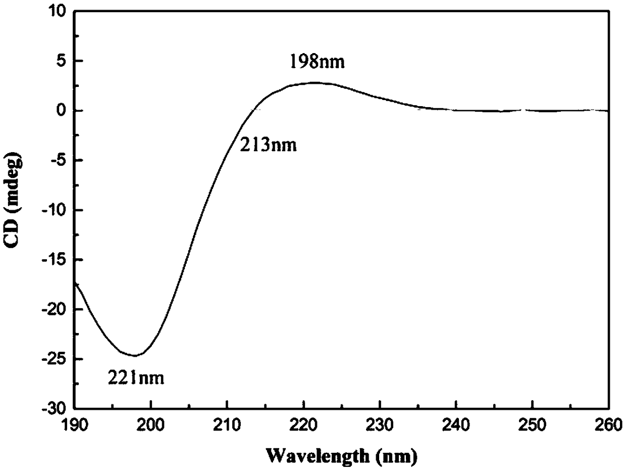 Preparation method of pepsin-solubilized collagen from fish scale