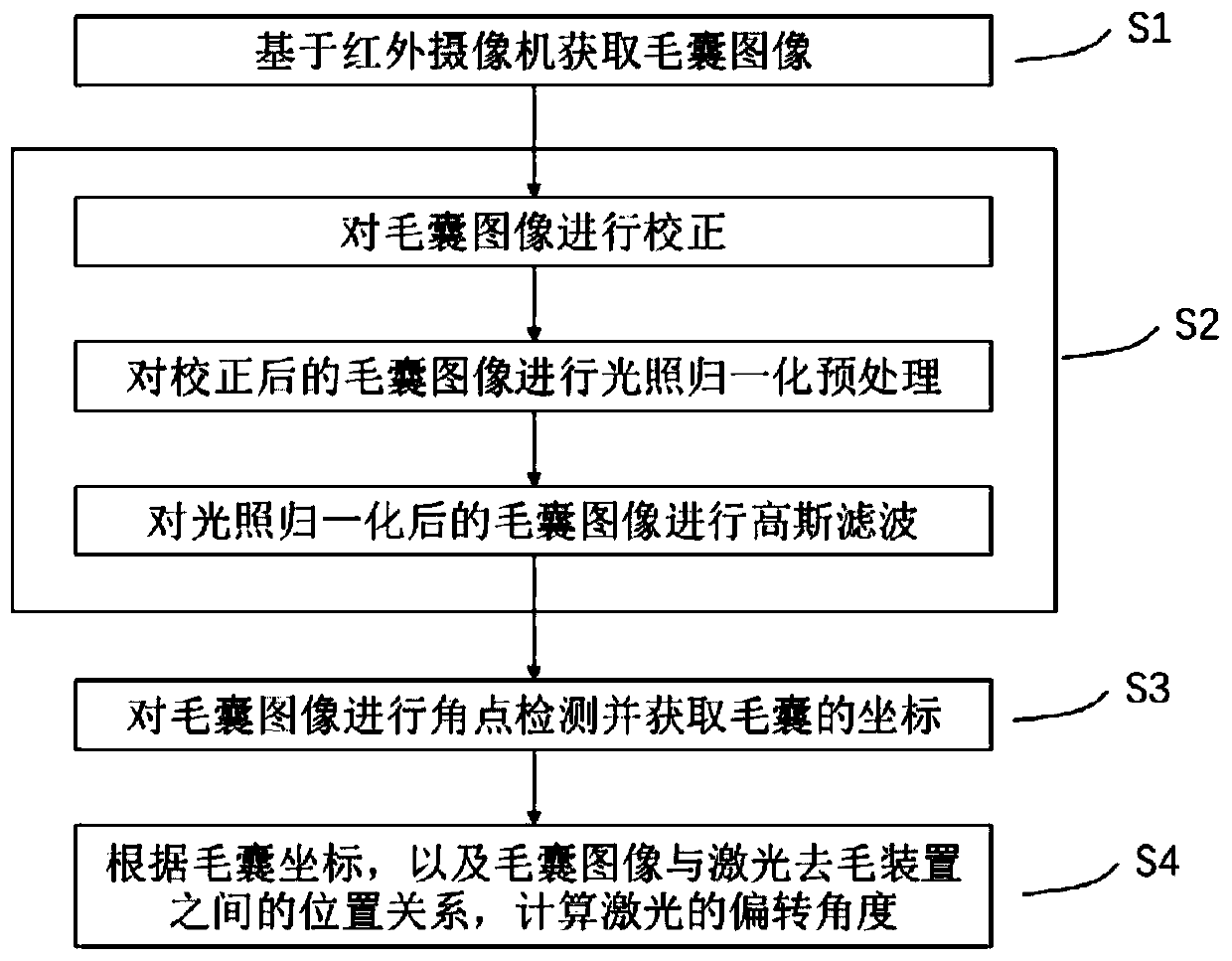 A kind of laser positioning method and hair removal system