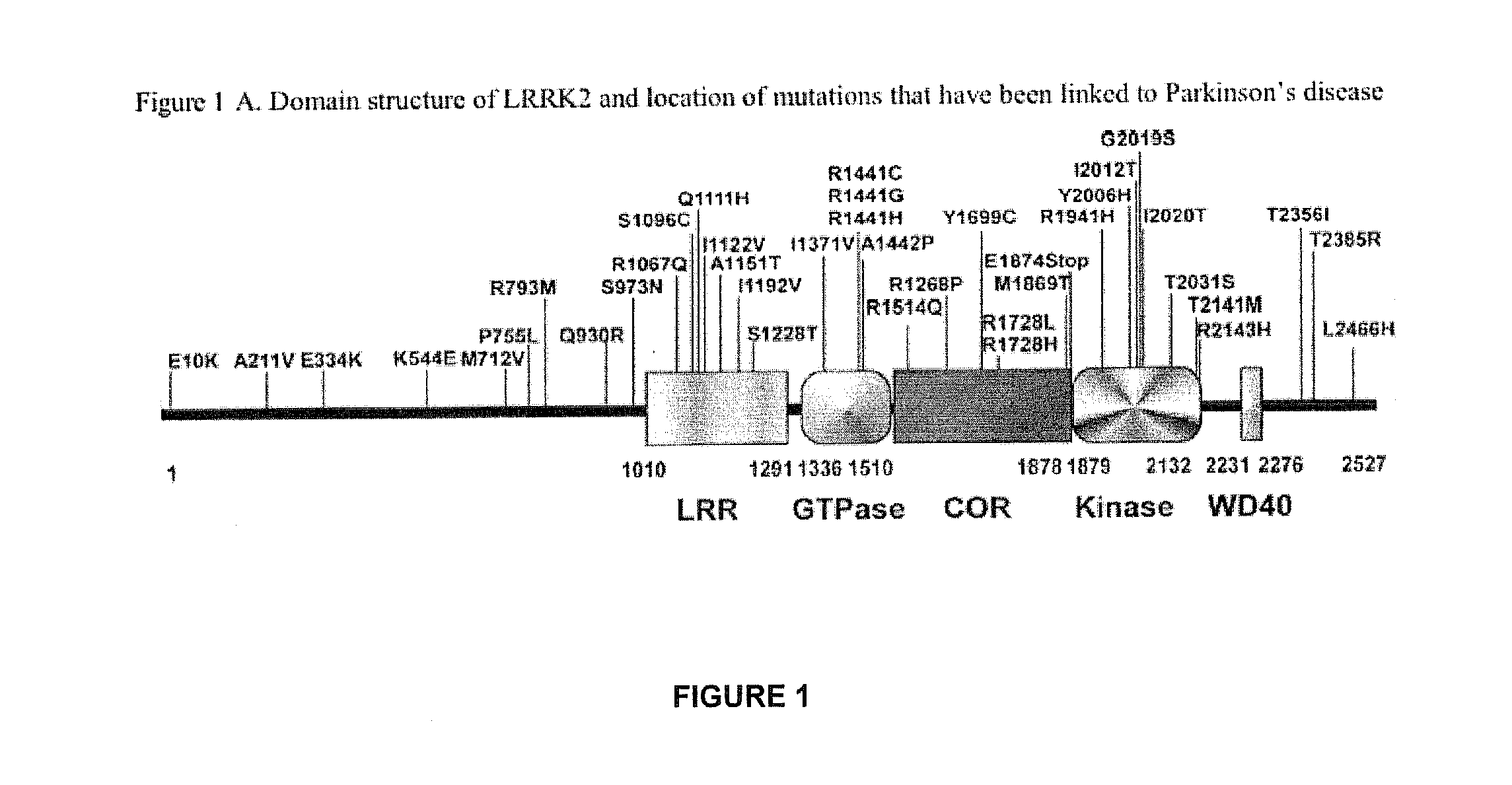 Pyrazolopyridines as inhibitors of the kinase lrrk2