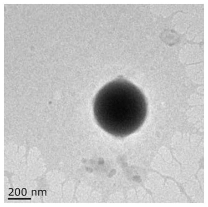 A kind of preparation method and application of chitosan plga nano-flavor