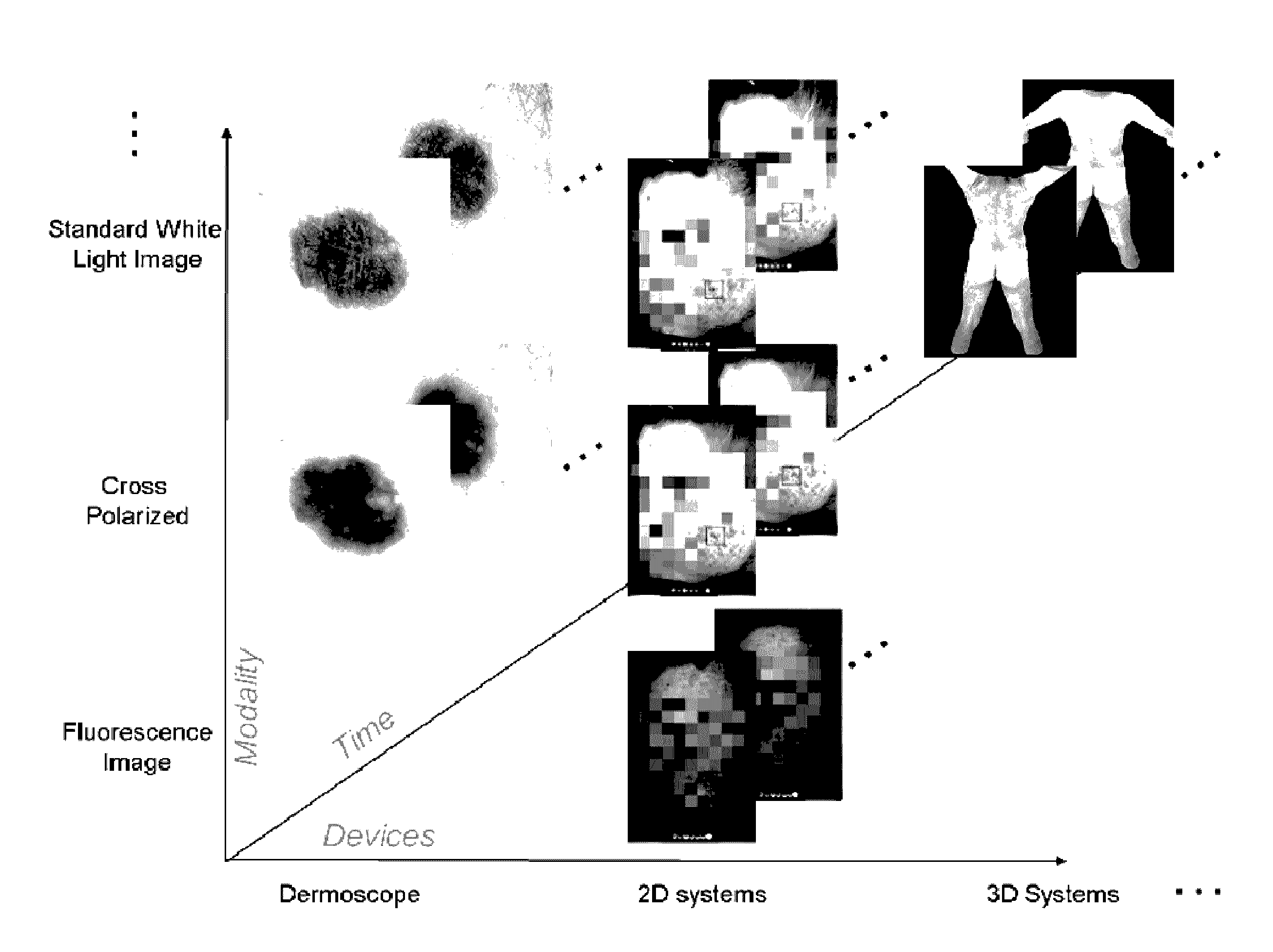 Dermatological feature tracking over multiple images