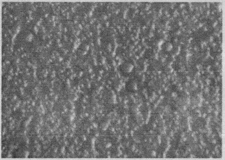 Microporous spongy film preparation and preparation method thereof