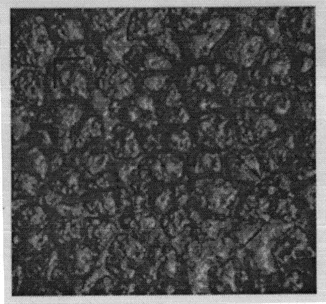 Microporous spongy film preparation and preparation method thereof