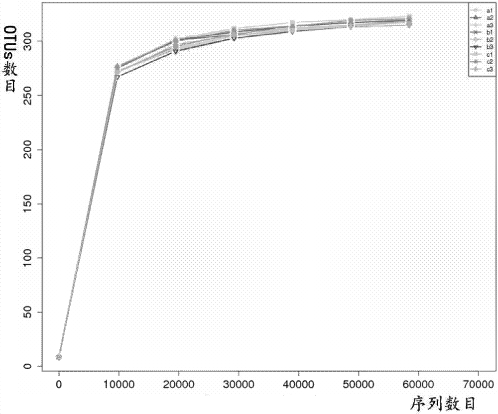 Method of analyzing rice phyllospheric endophytic bacteria community structure