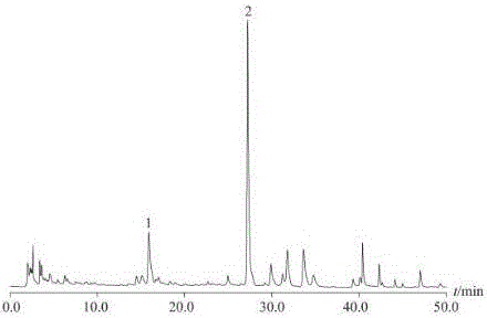 Detection method of compound Houttuynia cordata syrup