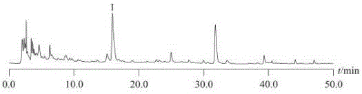 Detection method of compound Houttuynia cordata syrup