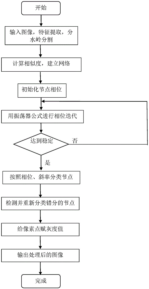 Medical Image Processing Method Based on Network Phase Synchronization