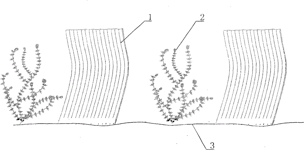 Method for inhibiting water bloom