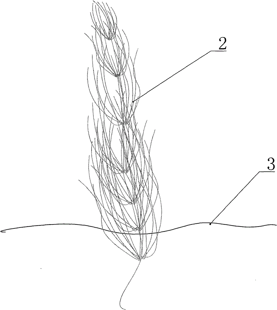 Method for inhibiting water bloom