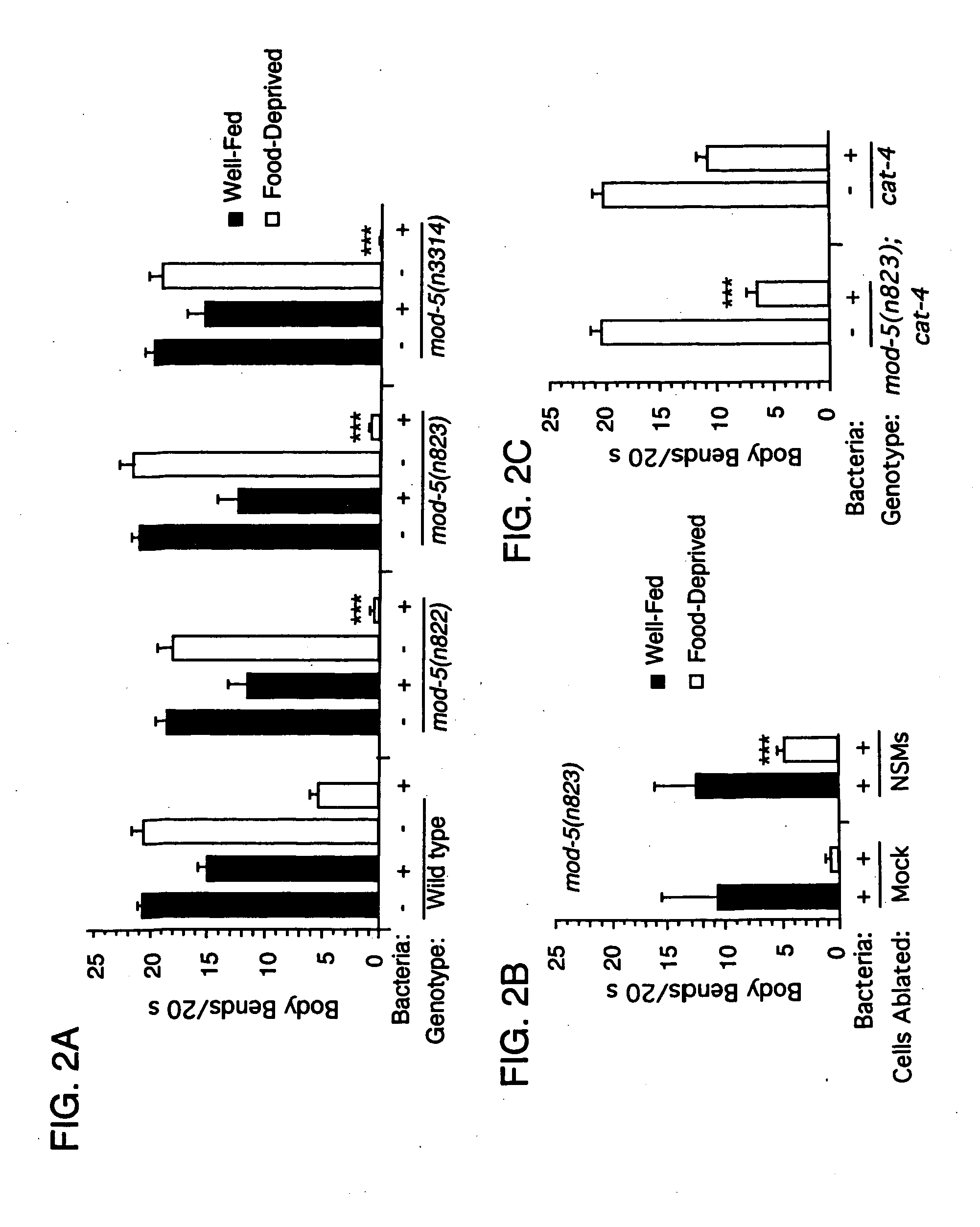 CeSERT genes, proteins, and modulatory compounds