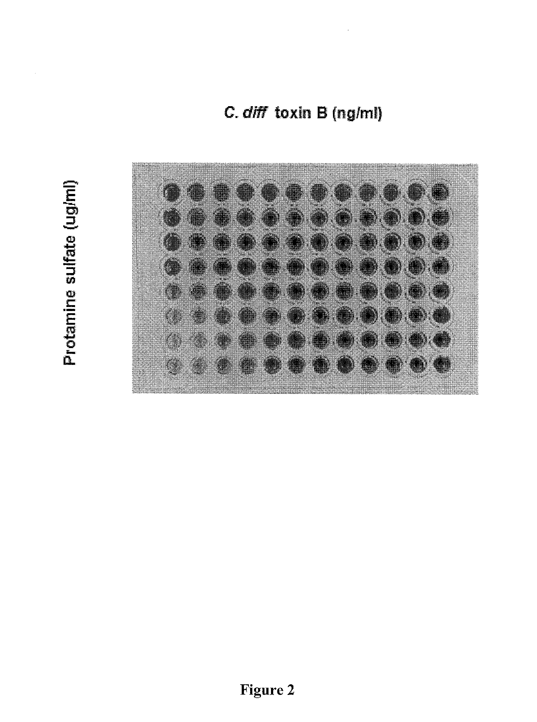 Compositions and methods to inactivate and/or reduce production of microbial toxins