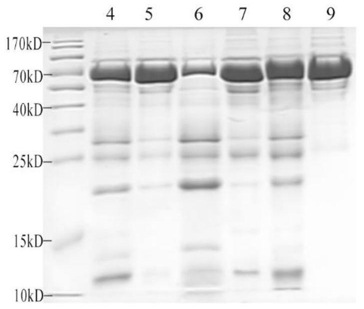 Urinary Protein Markers of Renal Injury in Malignant Hypertension and Its Diagnostic Application