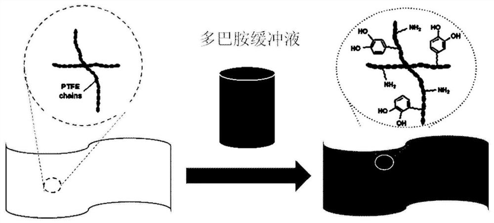 A fuel cell composite proton exchange membrane and its preparation method