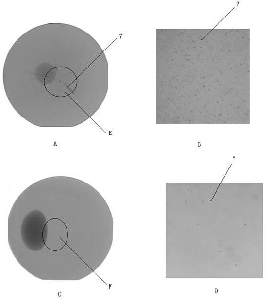 Device and method for preparing high-quality large-diameter SiC single crystal