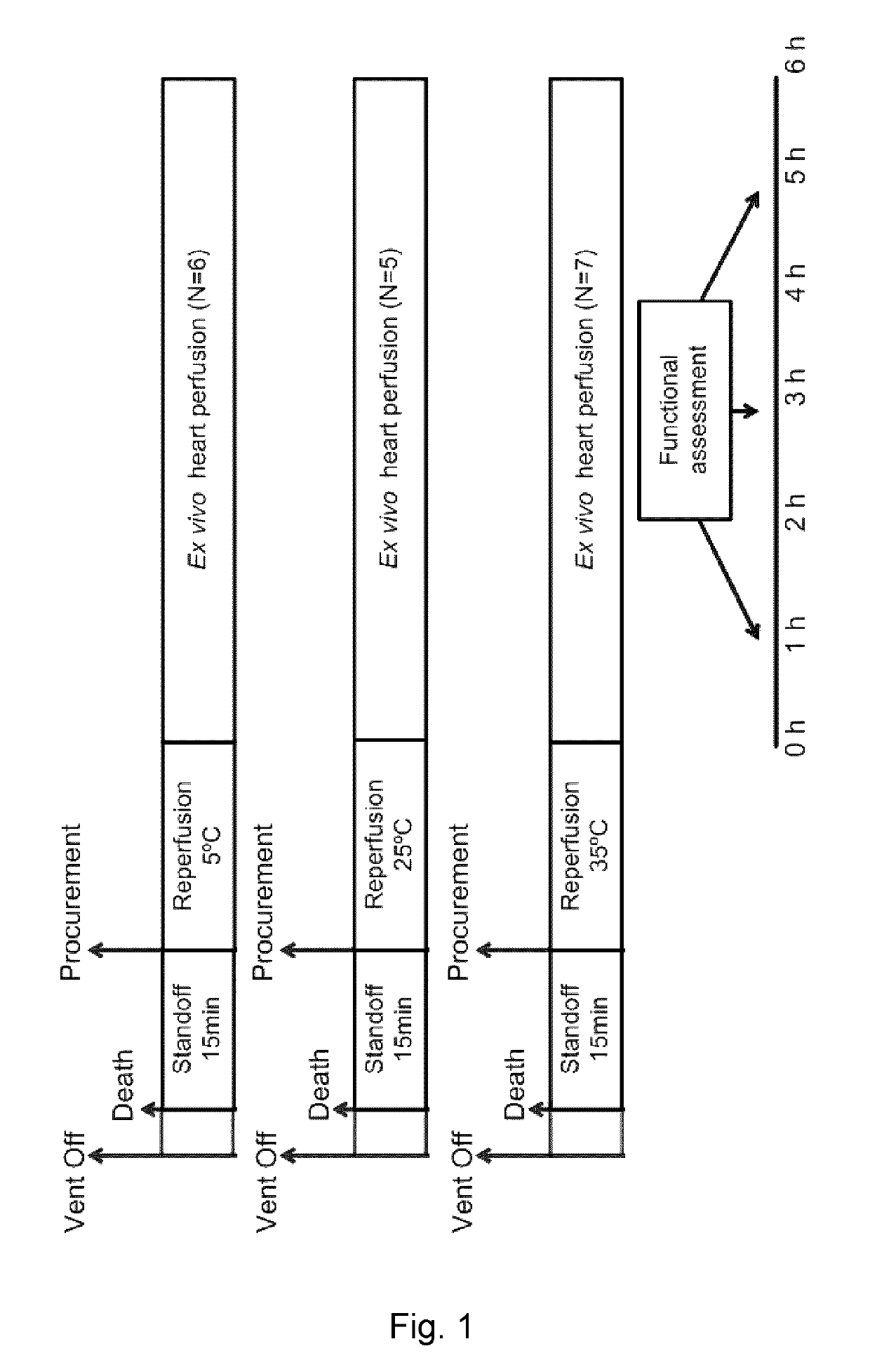 Modulation of calcium ion homeostasis in harvested transplantable hearts