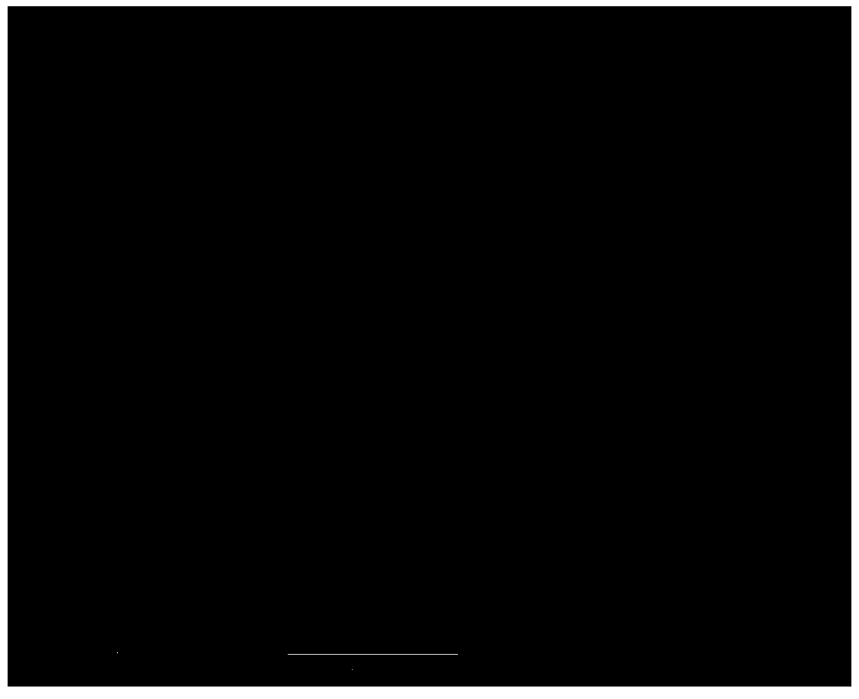 Preparation method for binary grafted modified PBO fiber