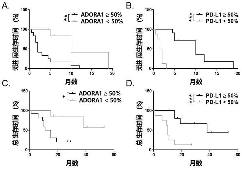 Application of adora1 in the preparation of pd-l1/pd-1 monoclonal antibody tumor immunotherapy drugs