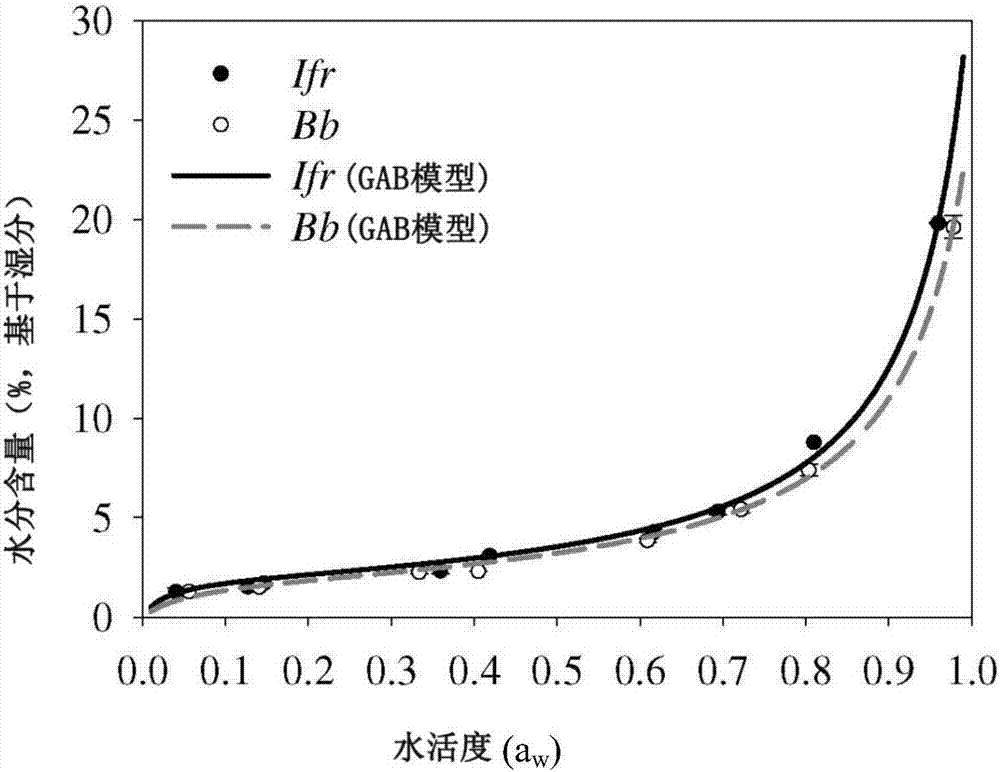 Stable fungal blastospores and methods for their production, stabilization and use