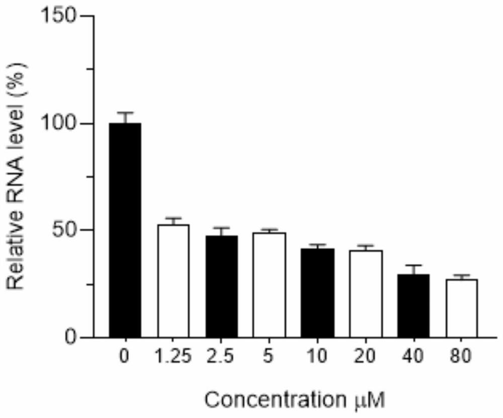 Application of vitamin B12 in preparation of medicine for resisting novel coronavirus SARS-CoV-2