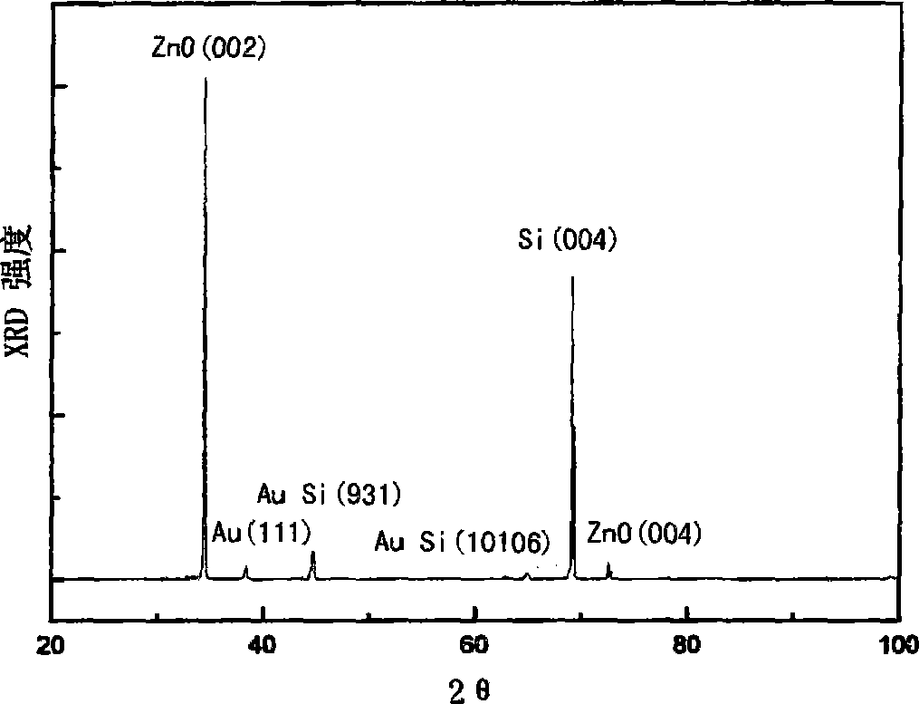 Process for growing ZnO thin-film on Si substrate